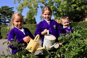 Article Thumbnail Image